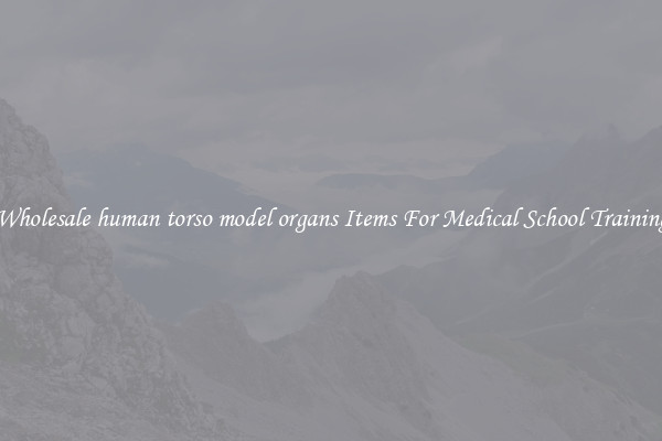 Wholesale human torso model organs Items For Medical School Training