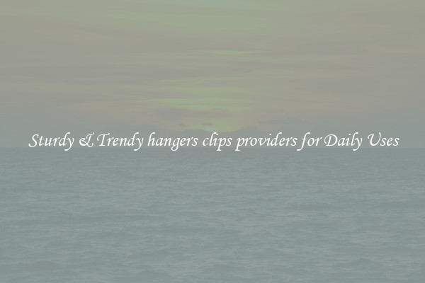 Sturdy & Trendy hangers clips providers for Daily Uses