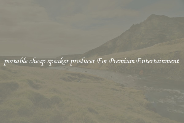 portable cheap speaker producer For Premium Entertainment 