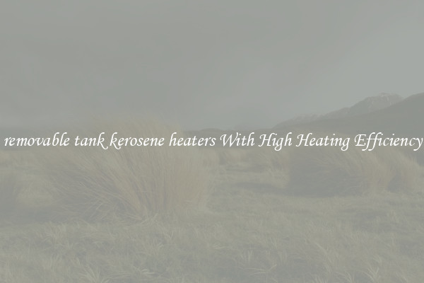 removable tank kerosene heaters With High Heating Efficiency