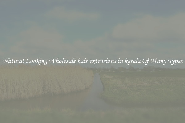 Natural Looking Wholesale hair extensions in kerala Of Many Types