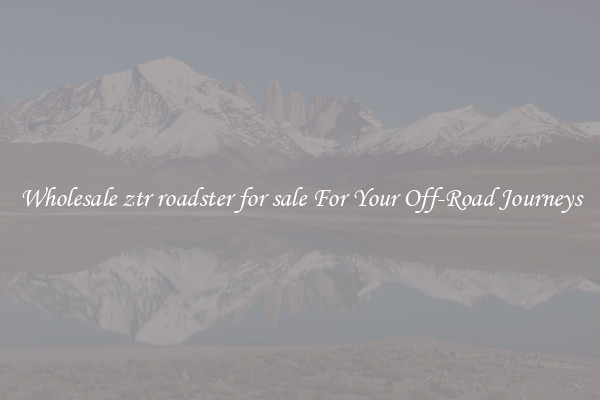 Wholesale ztr roadster for sale For Your Off-Road Journeys