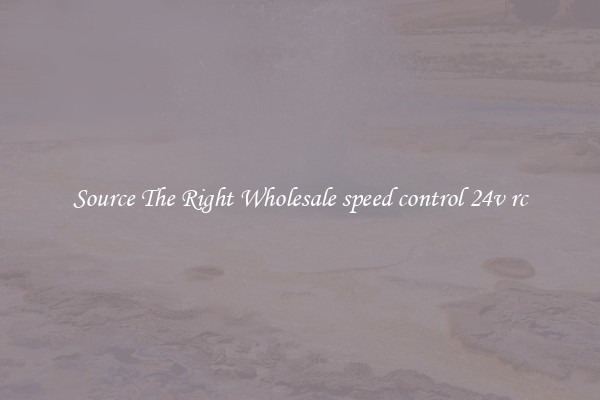 Source The Right Wholesale speed control 24v rc