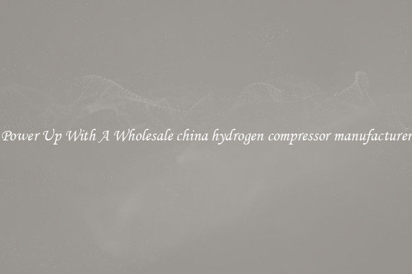 Power Up With A Wholesale china hydrogen compressor manufacturer