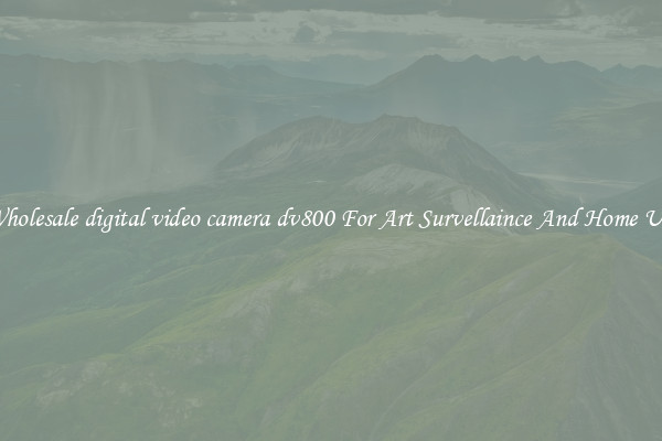 Wholesale digital video camera dv800 For Art Survellaince And Home Use