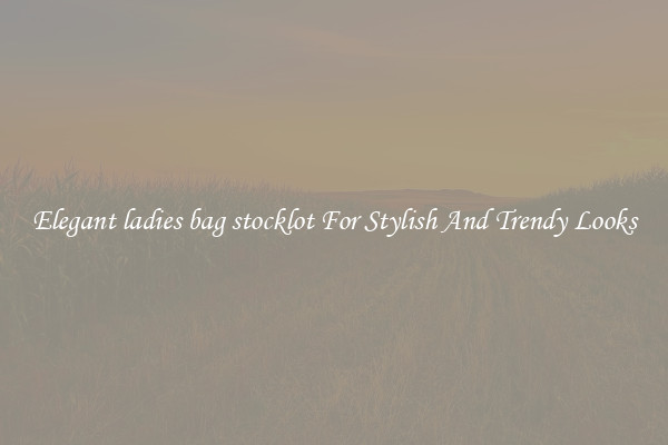 Elegant ladies bag stocklot For Stylish And Trendy Looks